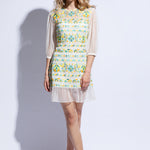 Colourful embroidered sheer dress with sleeves