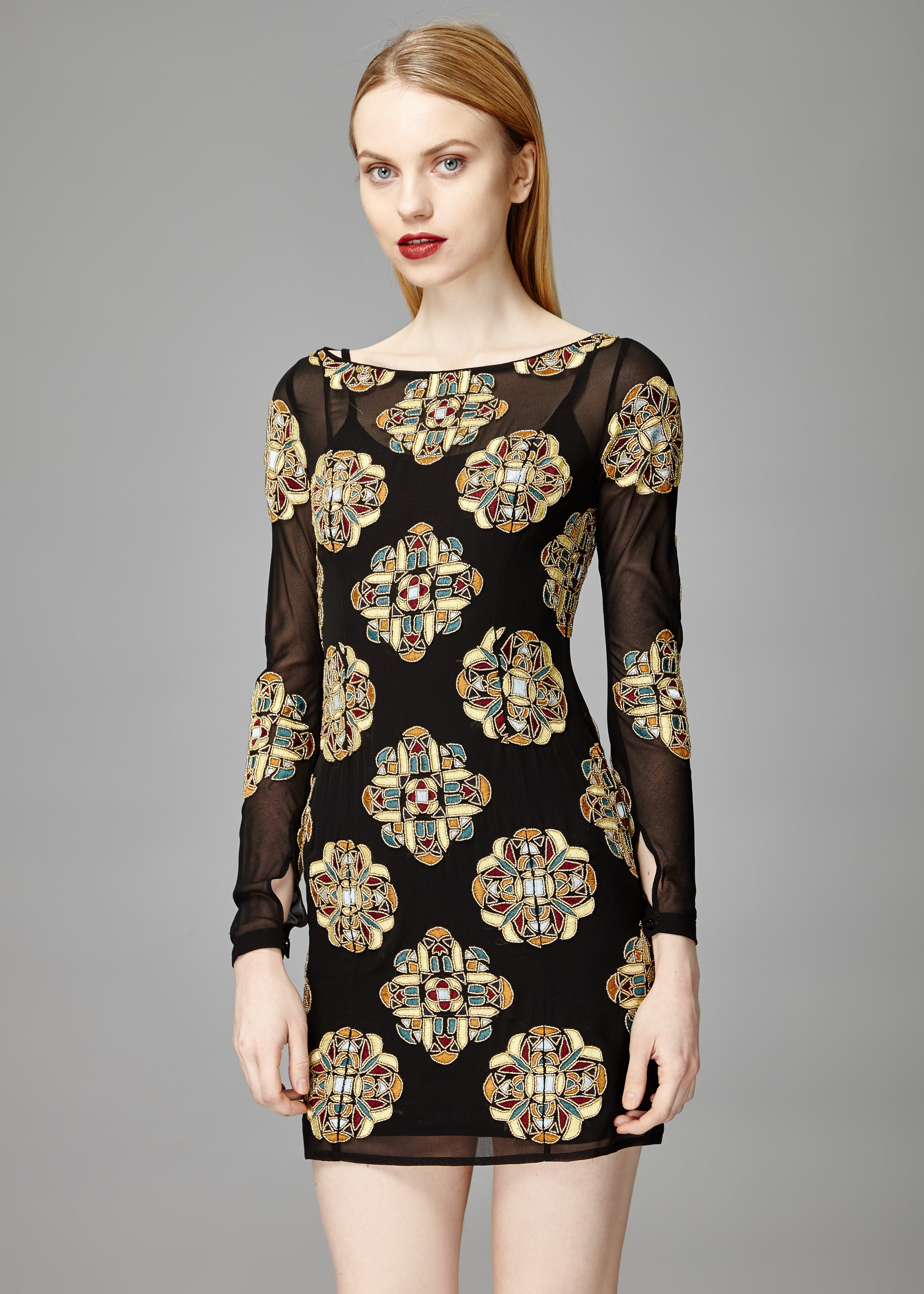 BELLE EMBELLISHED SHEER DRESS - Aarabhi